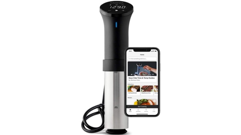 An Anova Culinary Sous Vide Precision Cooker
