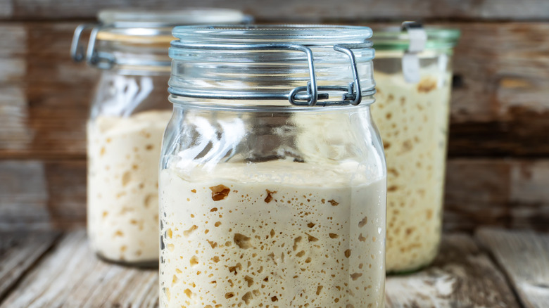 A jar filled with bubbling, active sourdough starter