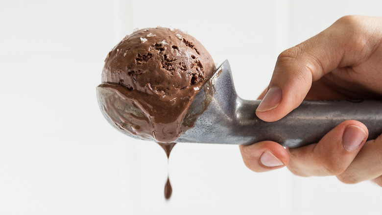 Sous-Vide Chocolate Ice Cream Recipe