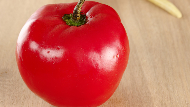 close up of rocoto pepper