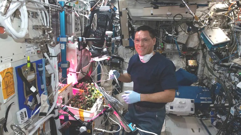 NASA astronaut space botany lab