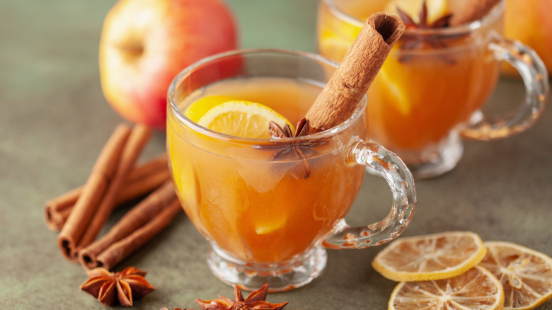 A small glass mug of apple cider cocktail with star anise, lemon, and cinnamon, surrounded by spices, dried lemon, and apples