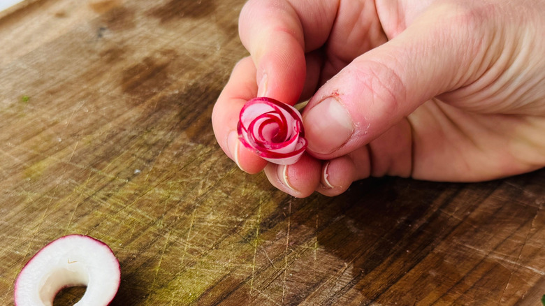 Hand holding small radish rosette