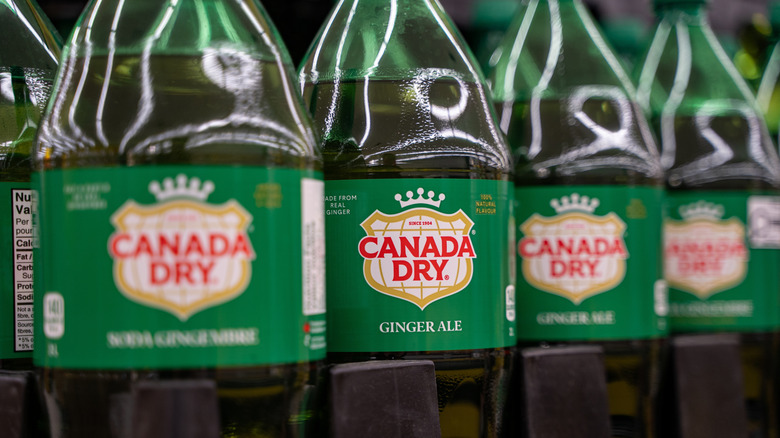 Closeup of bottles of Canada Dry ginger ale