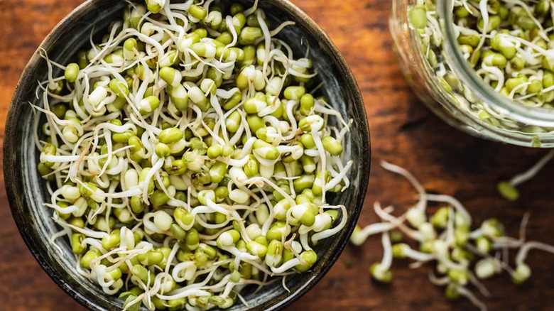 A bowl of sprouts on a table