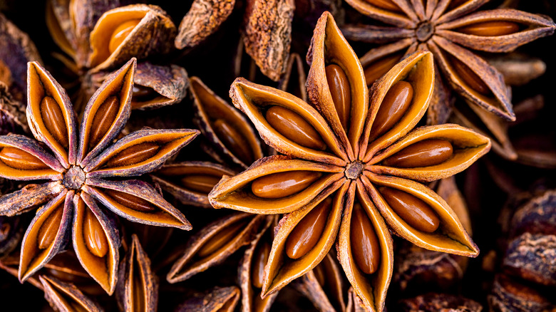 Star anise close up