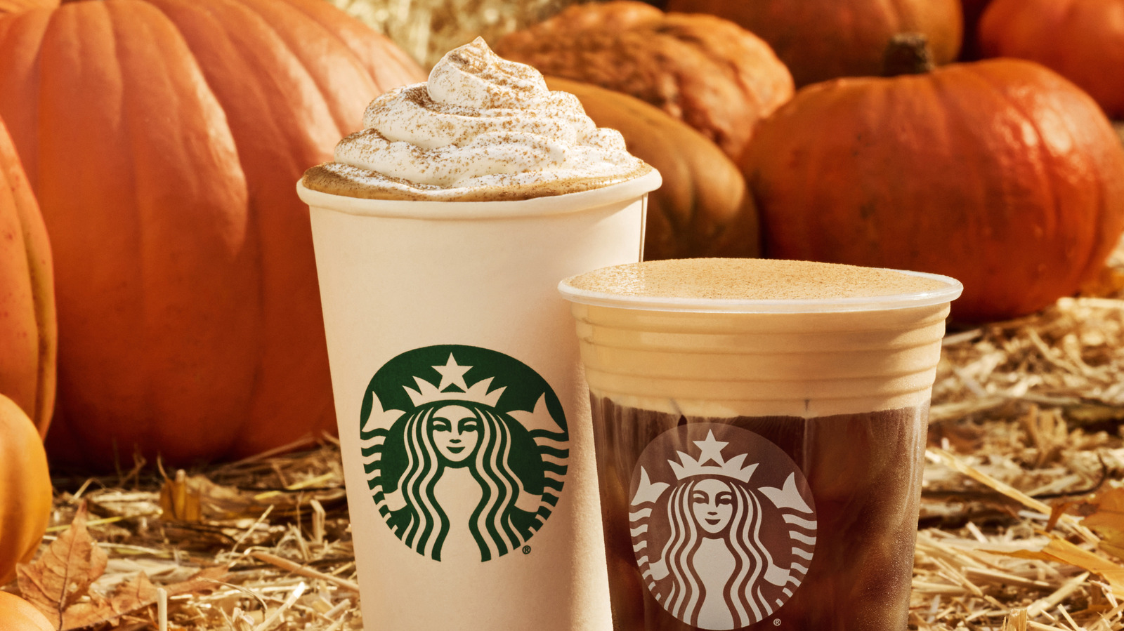 Starbucks Launches BOGO Offer For Fall Drinks Throughout September