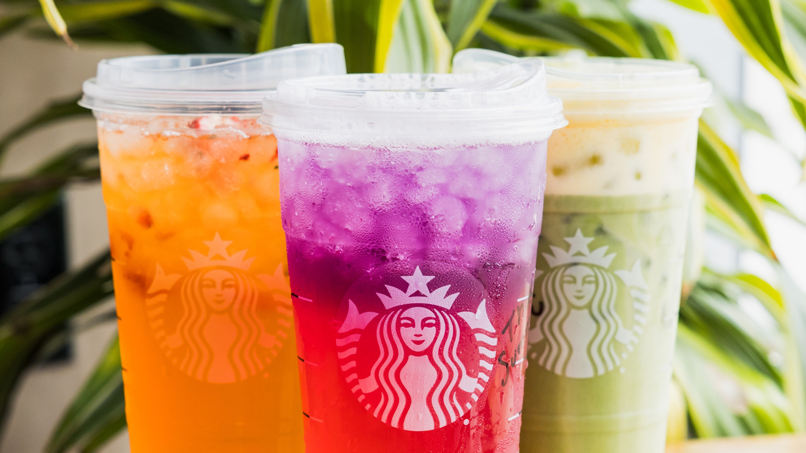 Starbucks' Upcoming Orange Drinks Have Fans Wanting This Classic Refresher Back