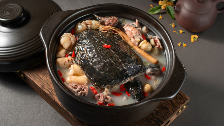 Turtle soup in pan