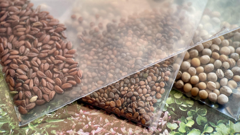 Various home packaged seed packets