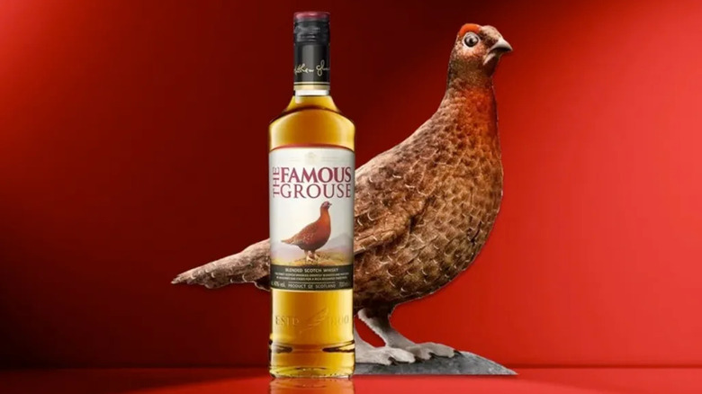 Bottle of Famous Grouse scotch against red background next to a grouse.