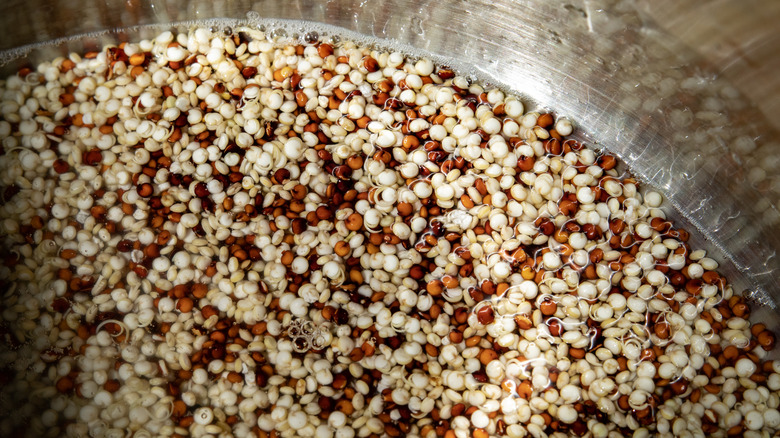 Red and white quinoa submerged in water