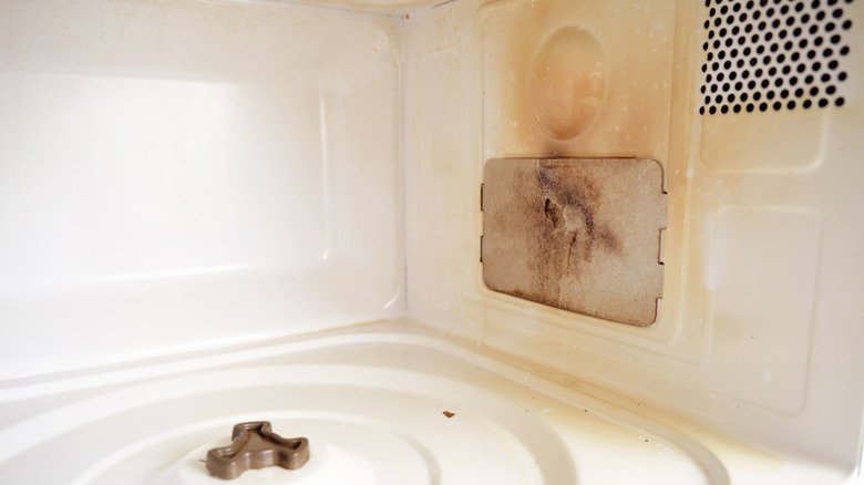 Empty microwave with internal burn damage
