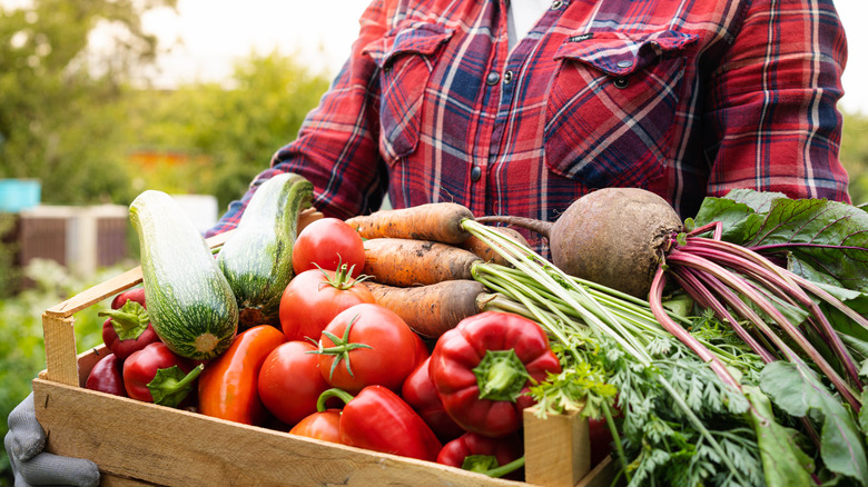 A plaid person carrying a wooden crate full of vegetables