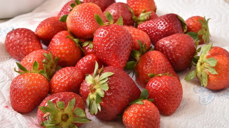 Closeup of strawberries drying on a paper towel