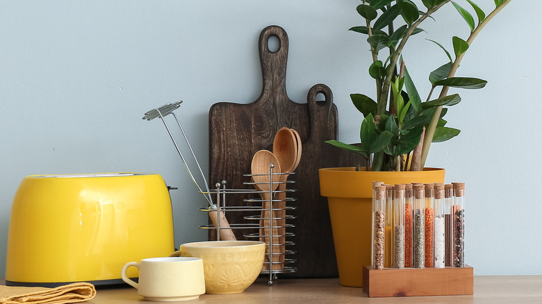 Cutting boards propped against wall beside spices, toaster, and plant
