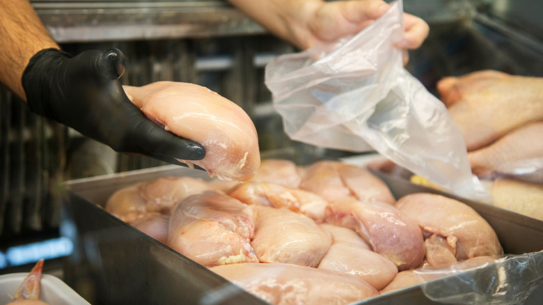 A black-gloved hand holding raw chicken meat