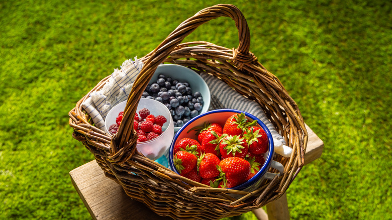 A basket holding bowls of strawberries, blueberries, and raspberries on a stool on a green lawn