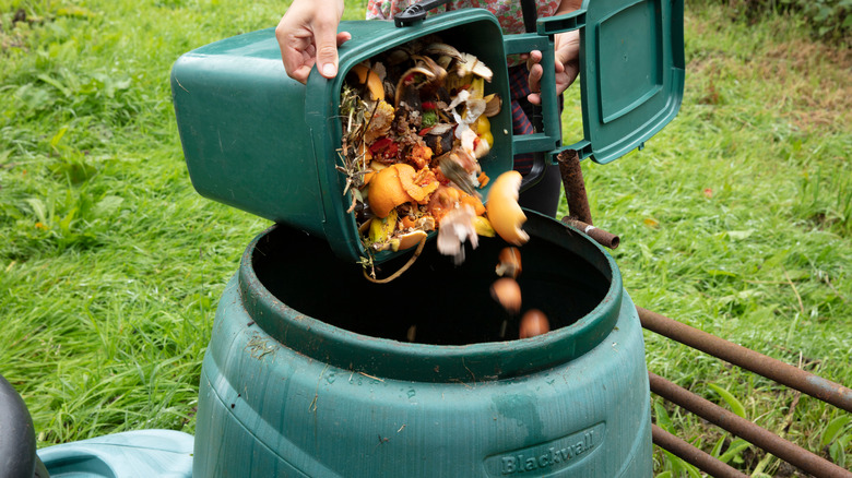 Pouring food into compost bin