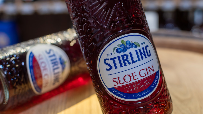 Bottle of sloe gin up close.