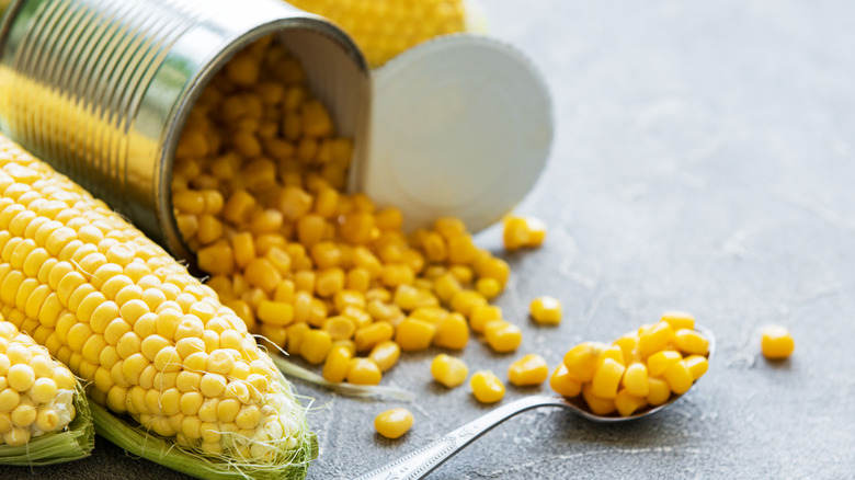 Canned and fresh corn