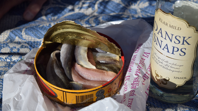 an open can of surströmming