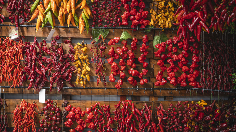 varieties of dried and fresh chili peppers