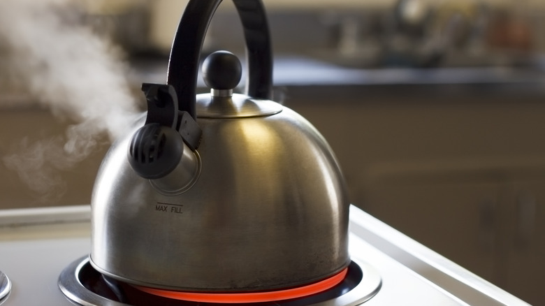 Stainless steel tea kettle boiling with a kitchen in the background