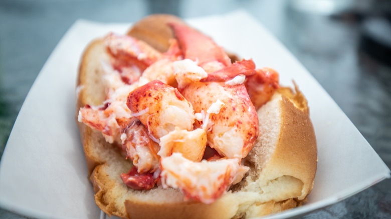 lobster roll served on dish