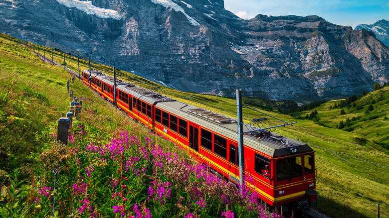 Swiss train traveling through the Alps