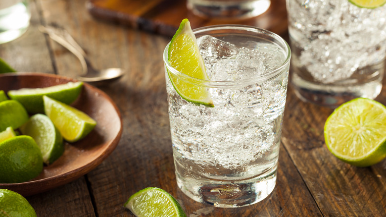 Gin and tonic iced garnish