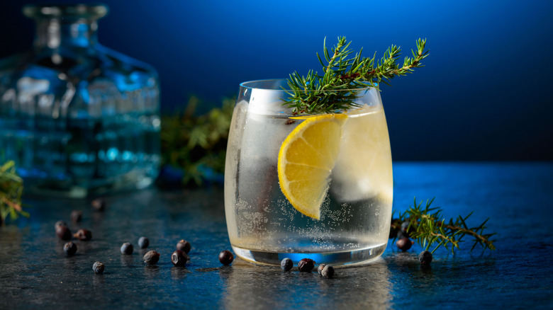 Cocktail gin and tonic lemon