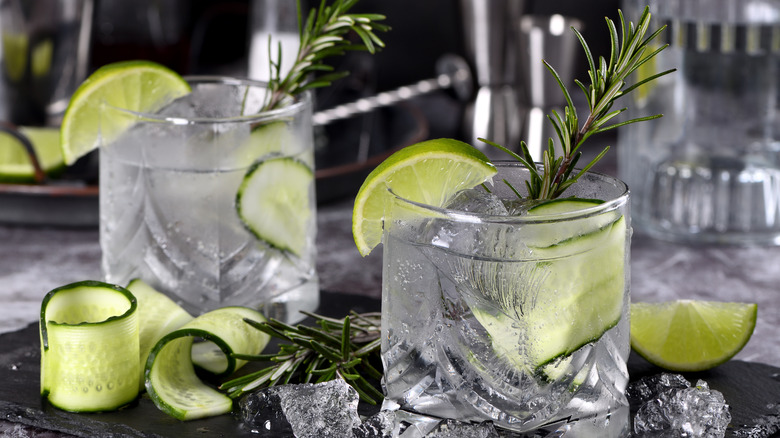 vodka with cucumber and rosemary