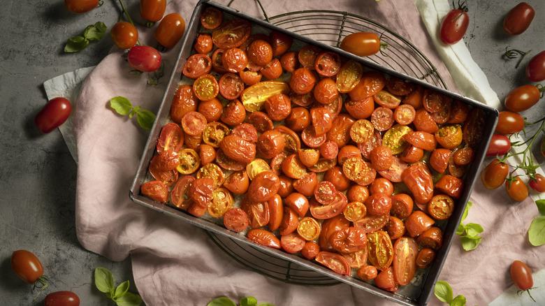 Halved roasted cherry tomatoes in a baking pan with fresh tomatoes scattered around it