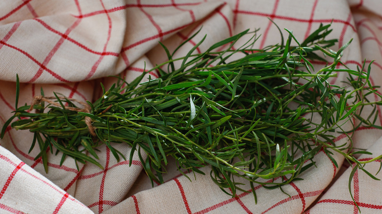 Bunch of tarragon on red and white linen
