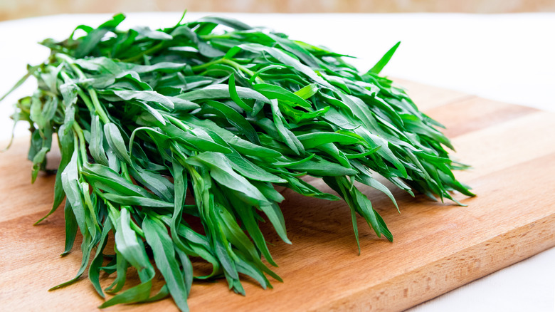 Bunch of fresh tarragon on wooden cutting board