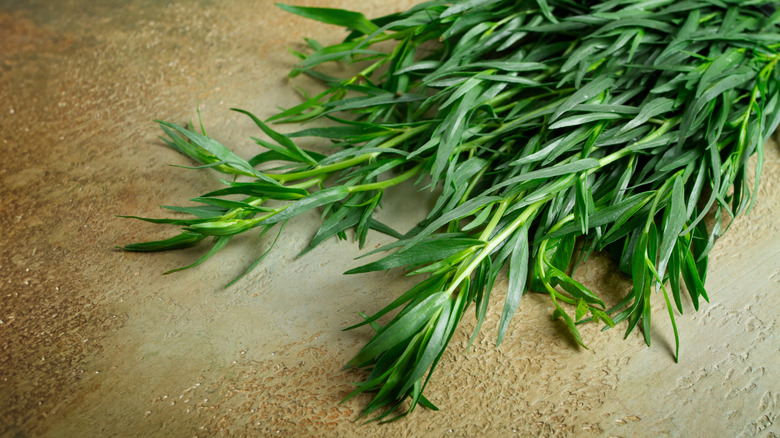 Bunch of fresh tarragon