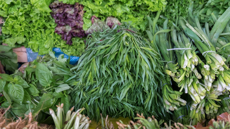 Bunches of fresh herbs on display at market stall