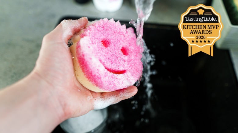Hand squeezing soap out of a Scrub Mommy sponge in a sink.