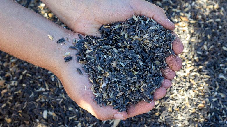 handful of sunflower seeds