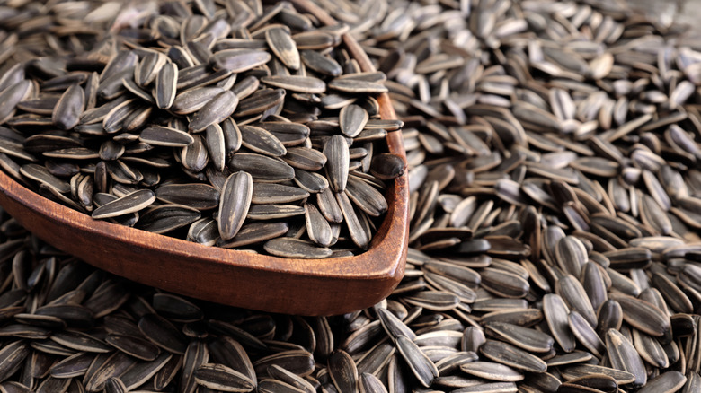 bowl of sunflower seeds surrounded by more seeds