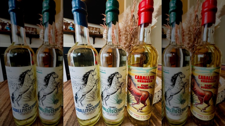 Three bottles of Caballito Cerrero