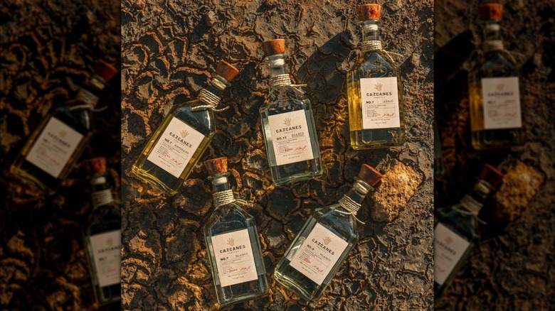 Five different bottles of Cazcanes tequila