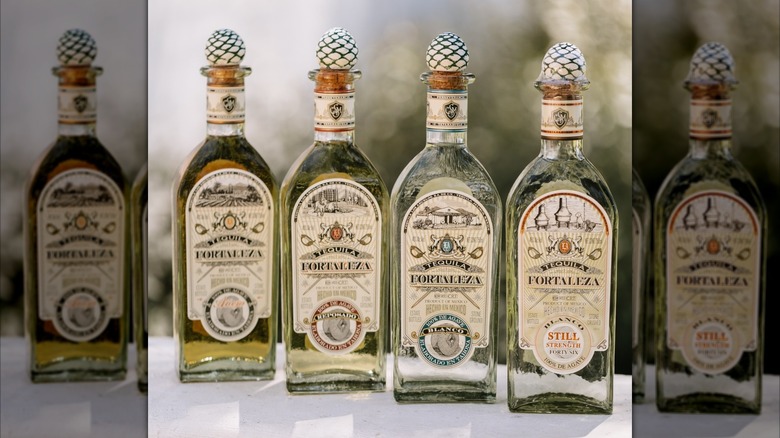 Four expressions from Fortaleza