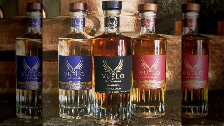 Three different expressions of Vuelo del Aviador