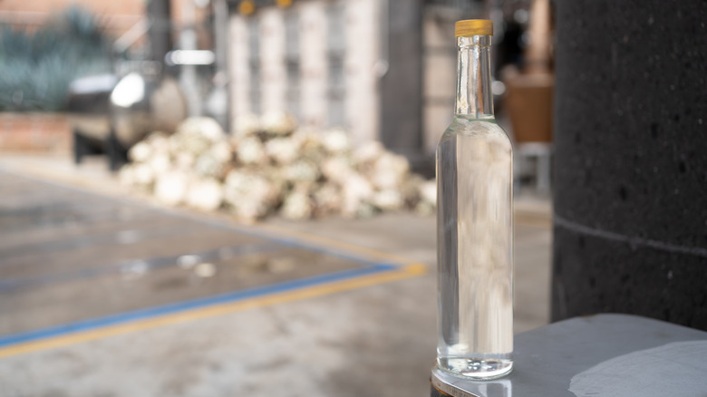 A bottle of tequila blanco in a factory