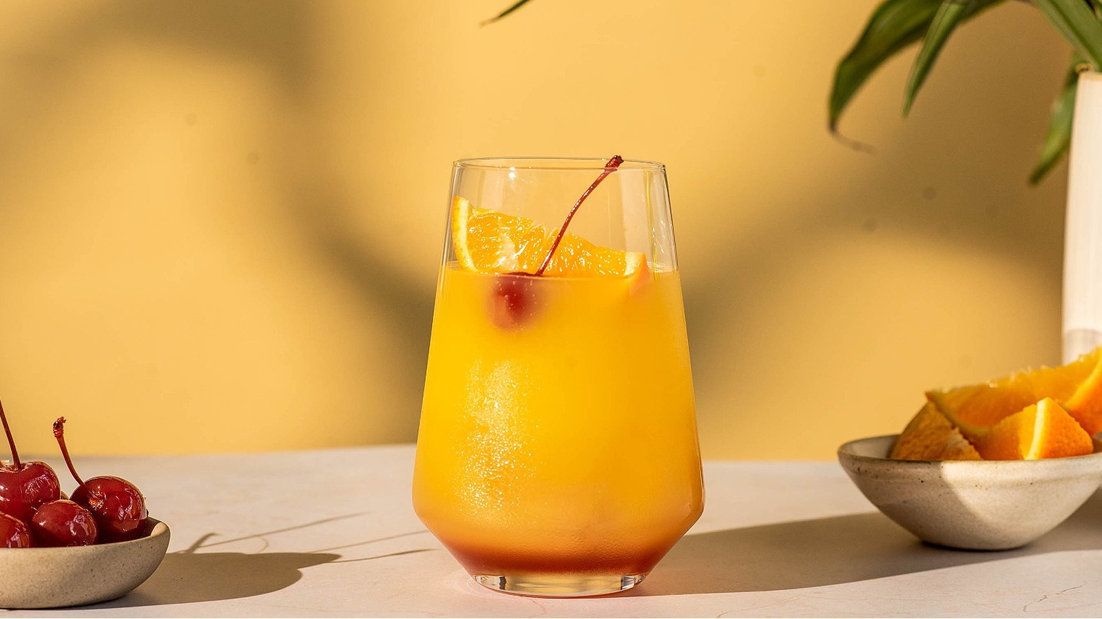 Tequila Sunrise Cocktail Recipe