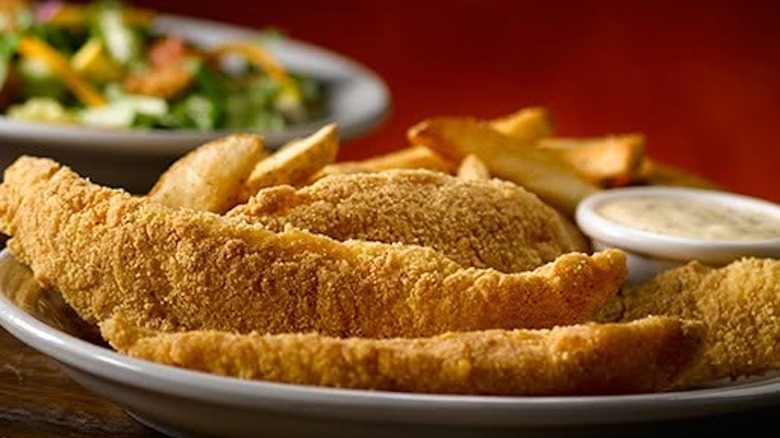 Texas Roadhouse fried catfish entree with fries and salad
