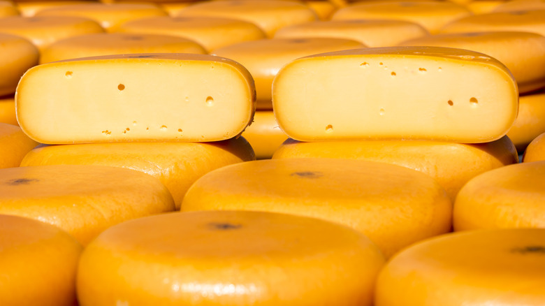 rows of wheels of Gouda with one round cut in half