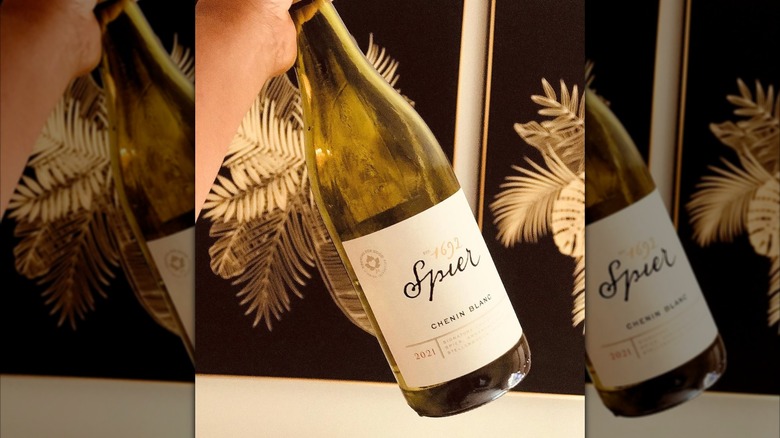 hand holding wine bottle